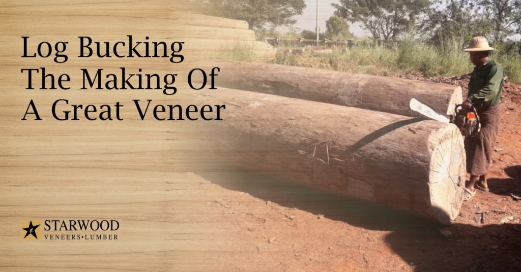 Log Bucking The Making Of A Great Veneer Starwood Veneers & Lumbers
