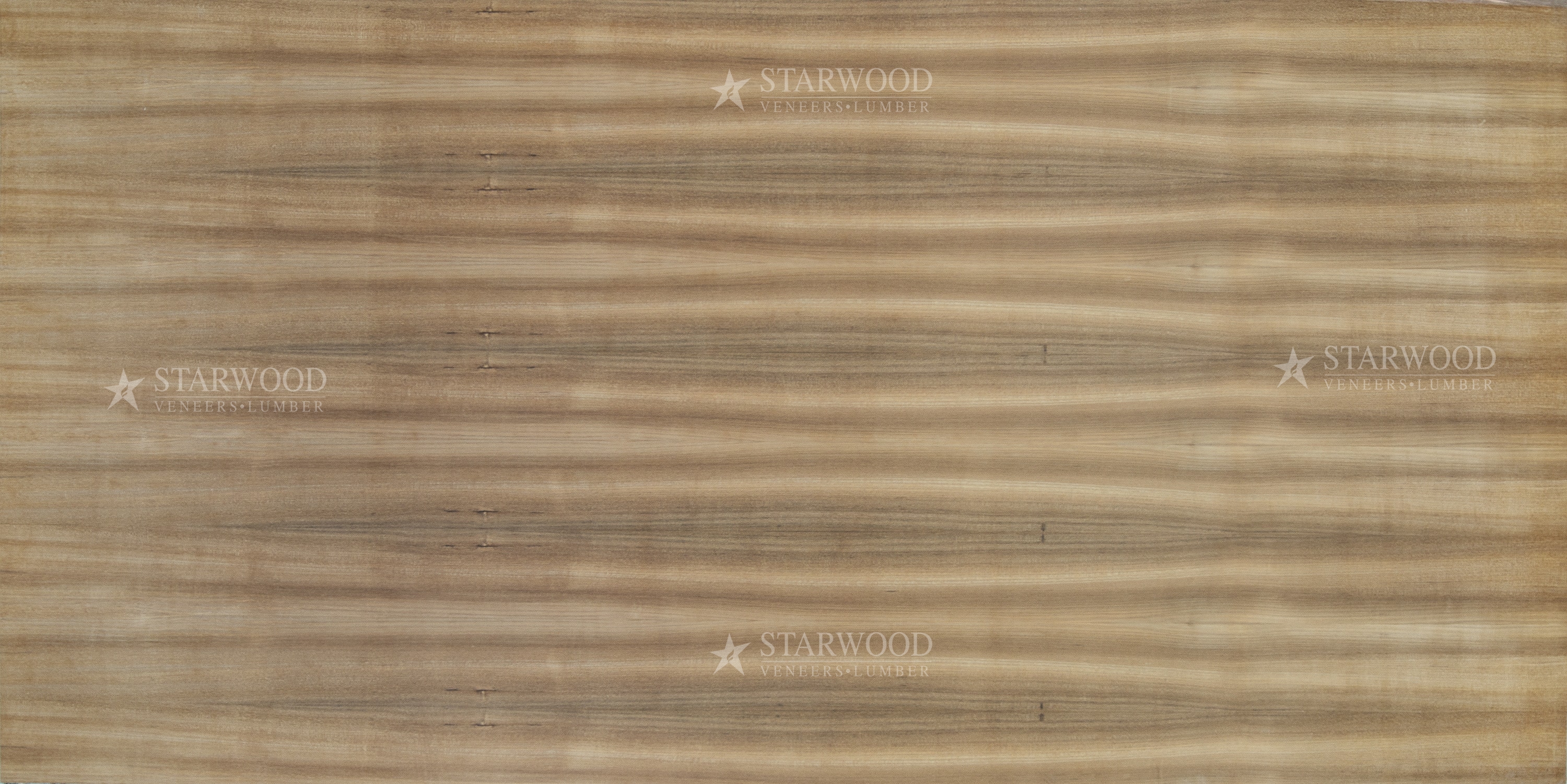 Starwood_LAL1113-min